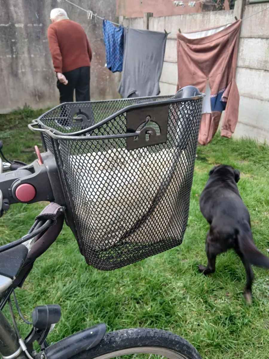 Electric bike - Image 1