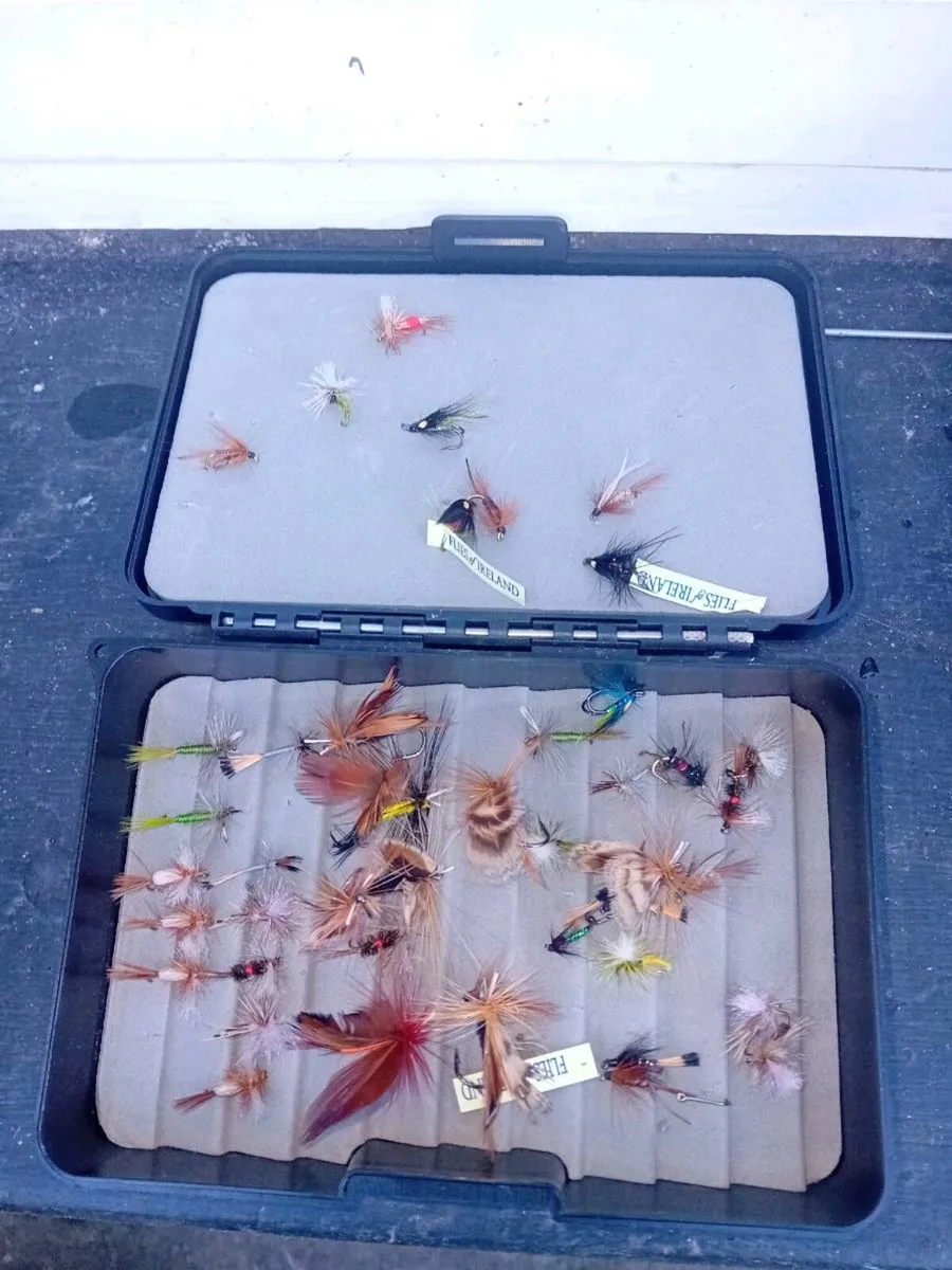 Fly Fishing Flys and Freshwater meps with cases - Image 1