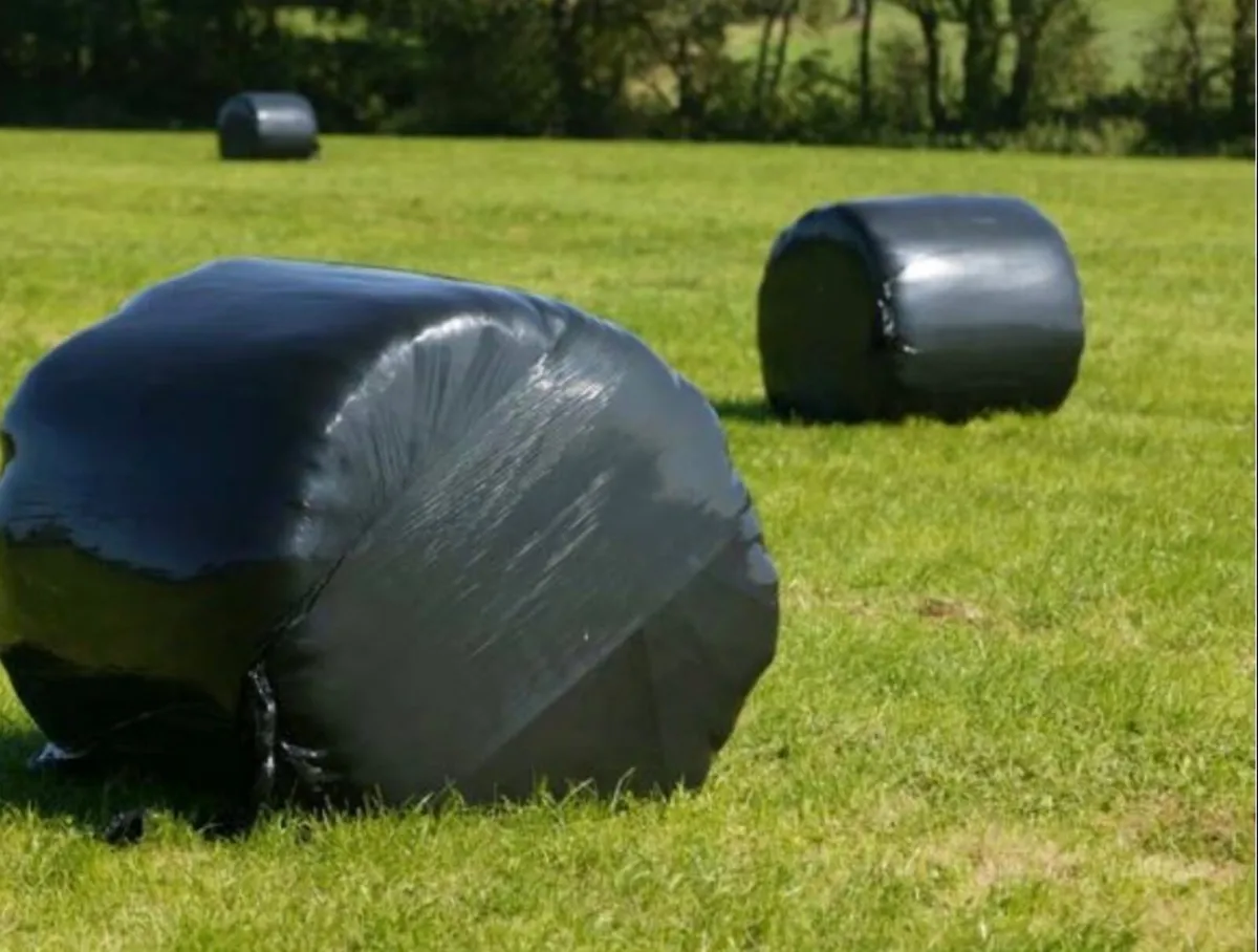 Silage bales Glenamaddy