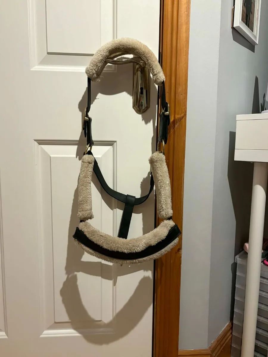 Head collar - Image 1