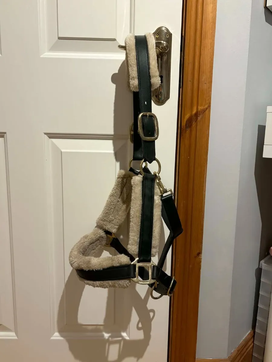 Head collar - Image 2