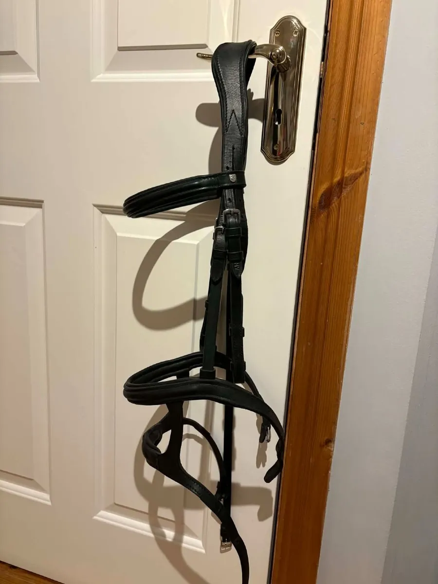 Bridle - Image 1