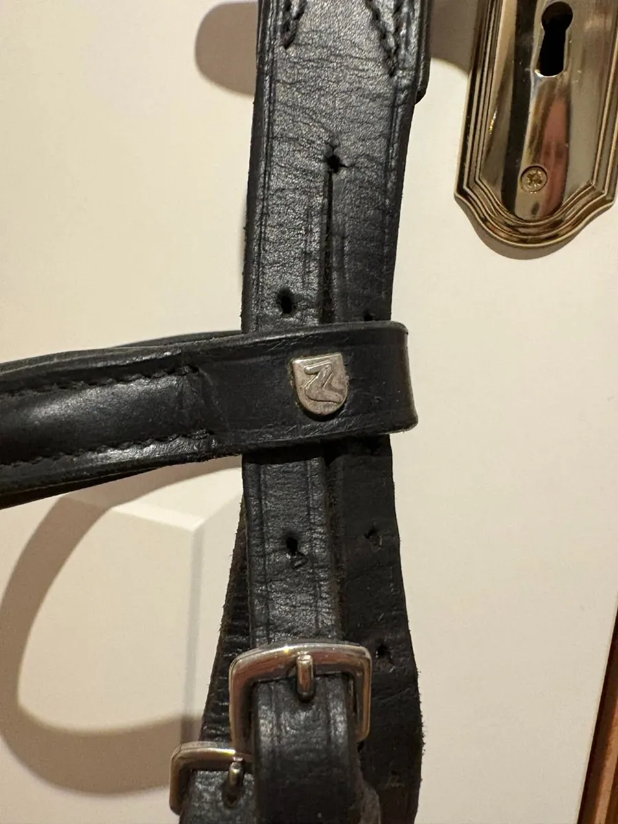 Bridle - Image 2