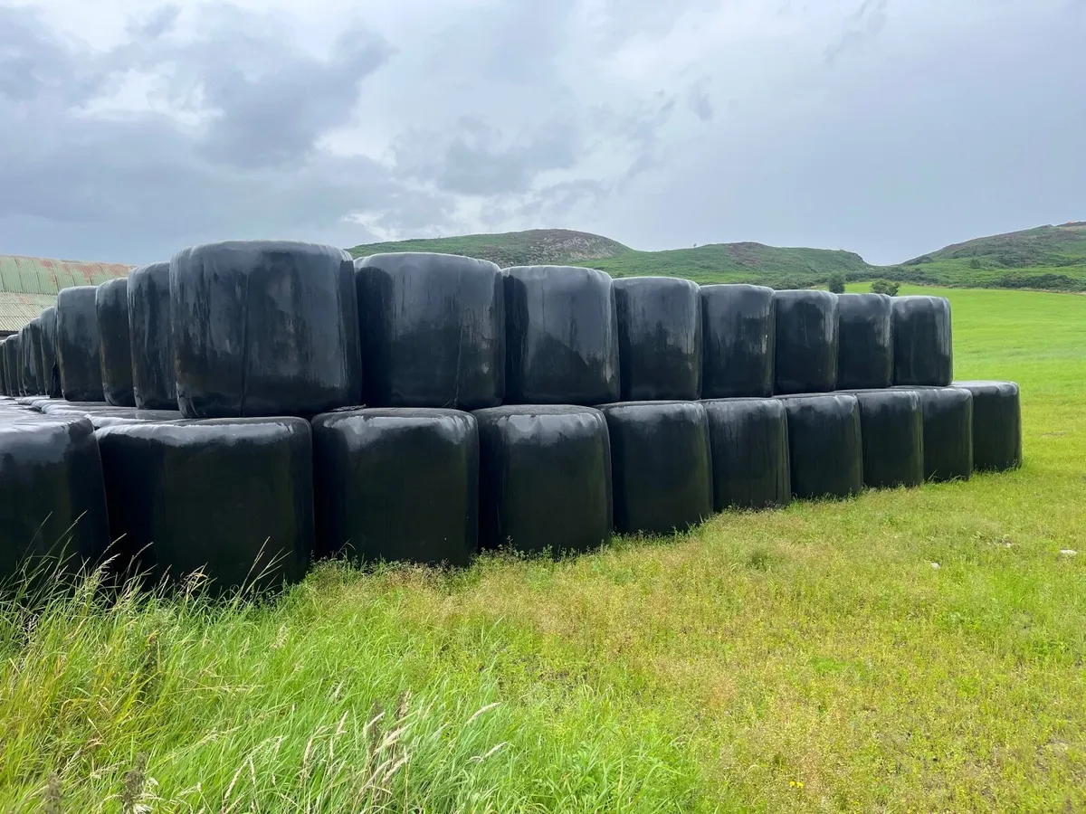 Round bales of haylage - Image 2