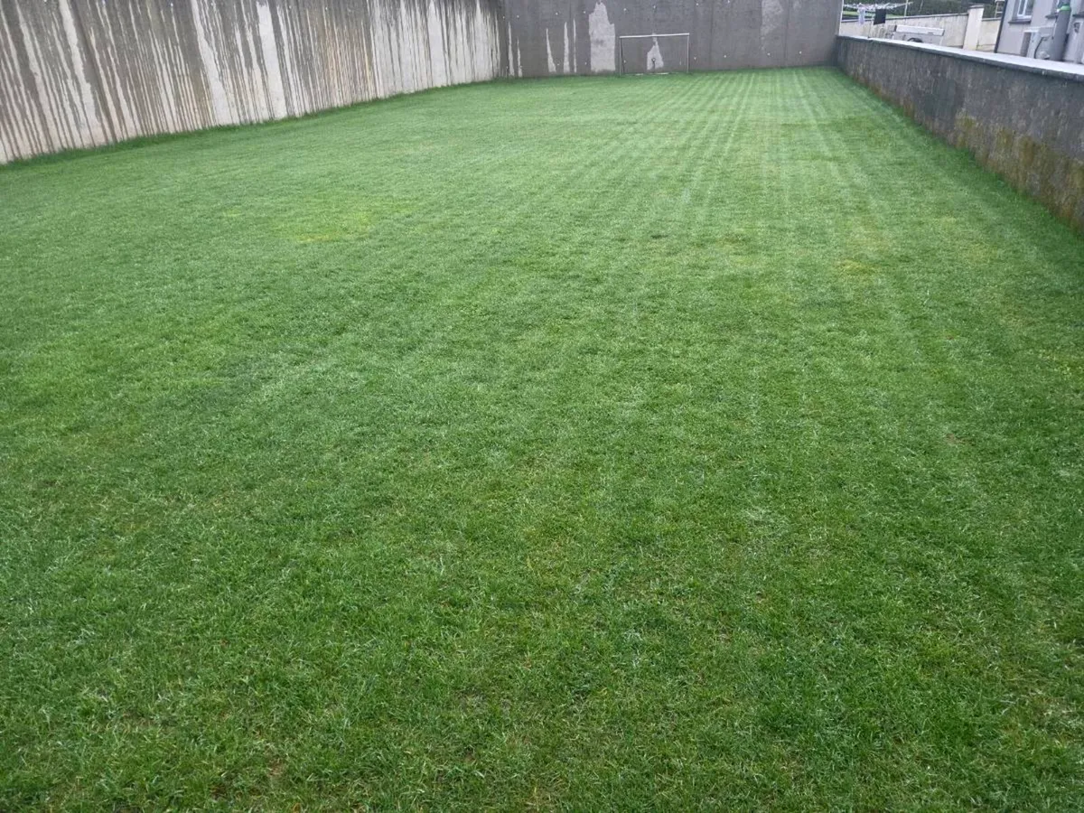 Sunseeker robot mower - Image 4