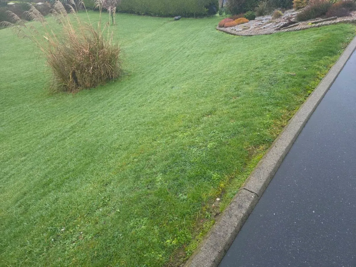 Sunseeker robot mower - Image 3