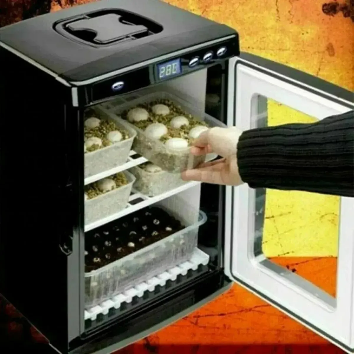 Reptile Egg Incubator 25L with Digital Temp - Image 2