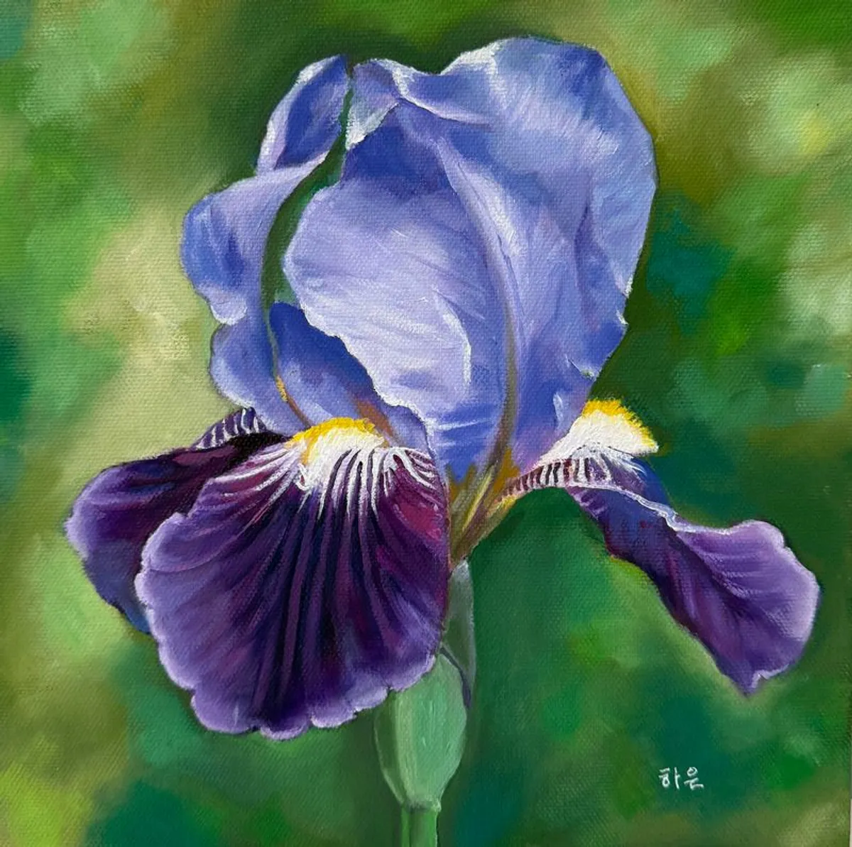 Iris, Oil painting rolled canvas - Image 4