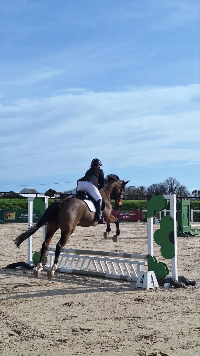 Free lance instructor - Image 1