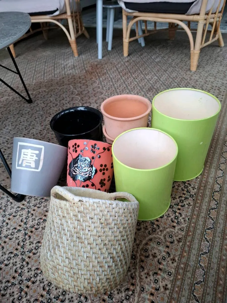 Plant Pots - Image 1