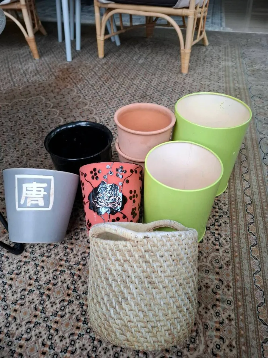 Plant Pots - Image 2