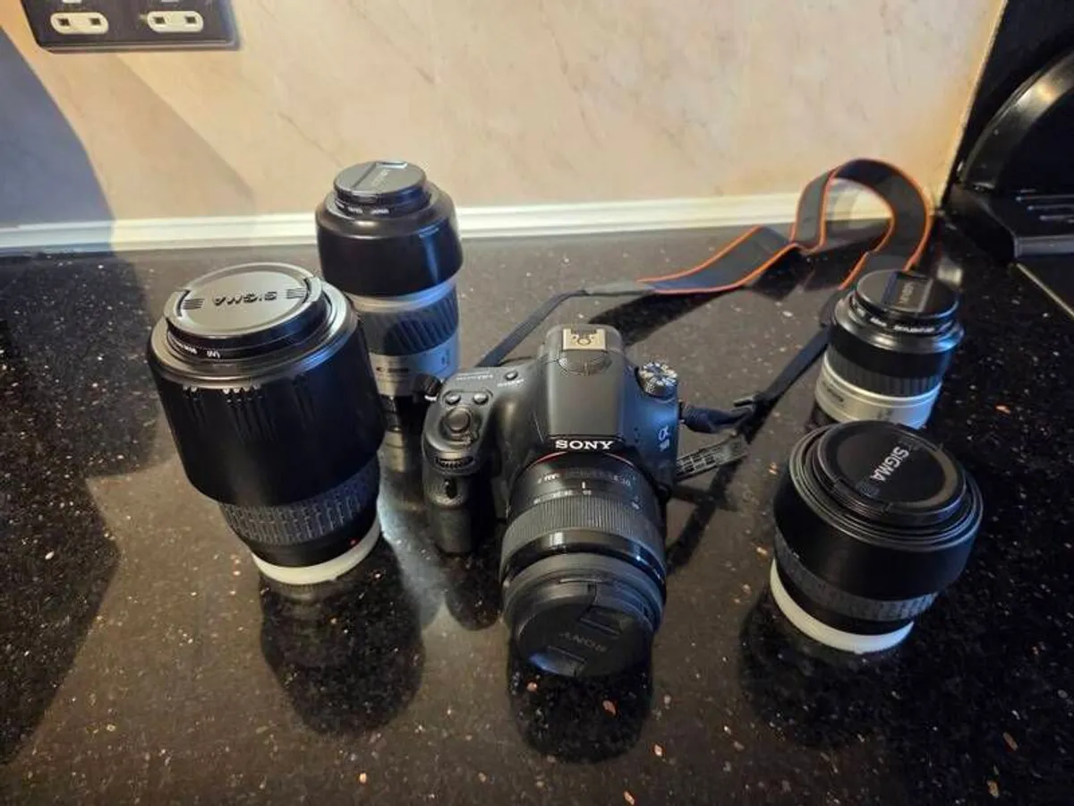 photography - Image 2