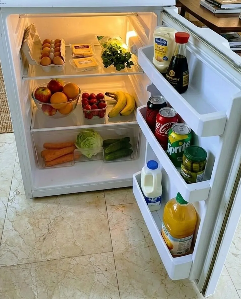 Under UnderOunterCounter Fridge - Image 2