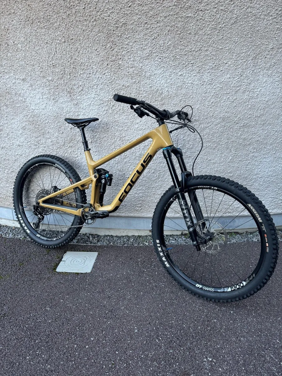 Focus Sam 9.9 2023 - Image 1