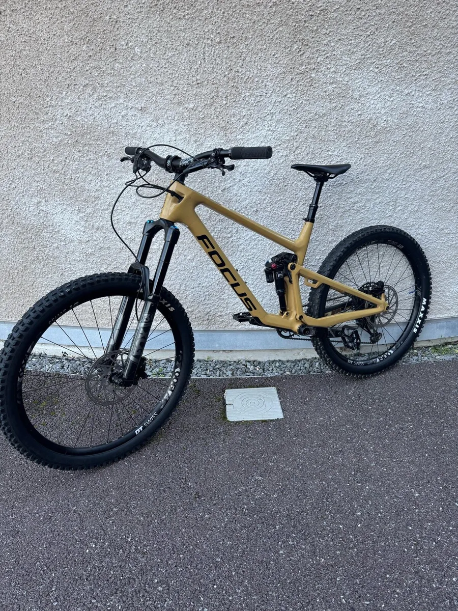 Focus Sam 9.9 2023 - Image 2