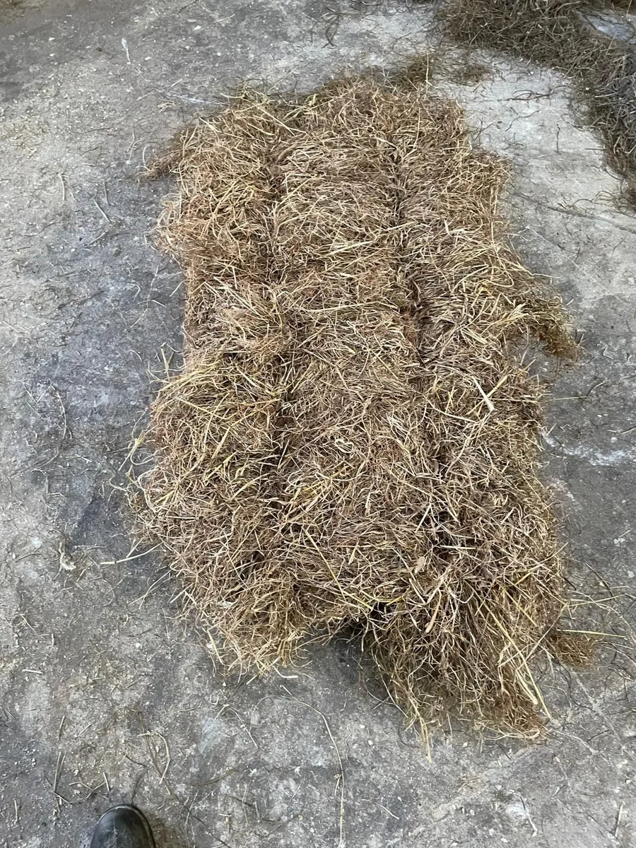 Square Hay Bales - Image 1