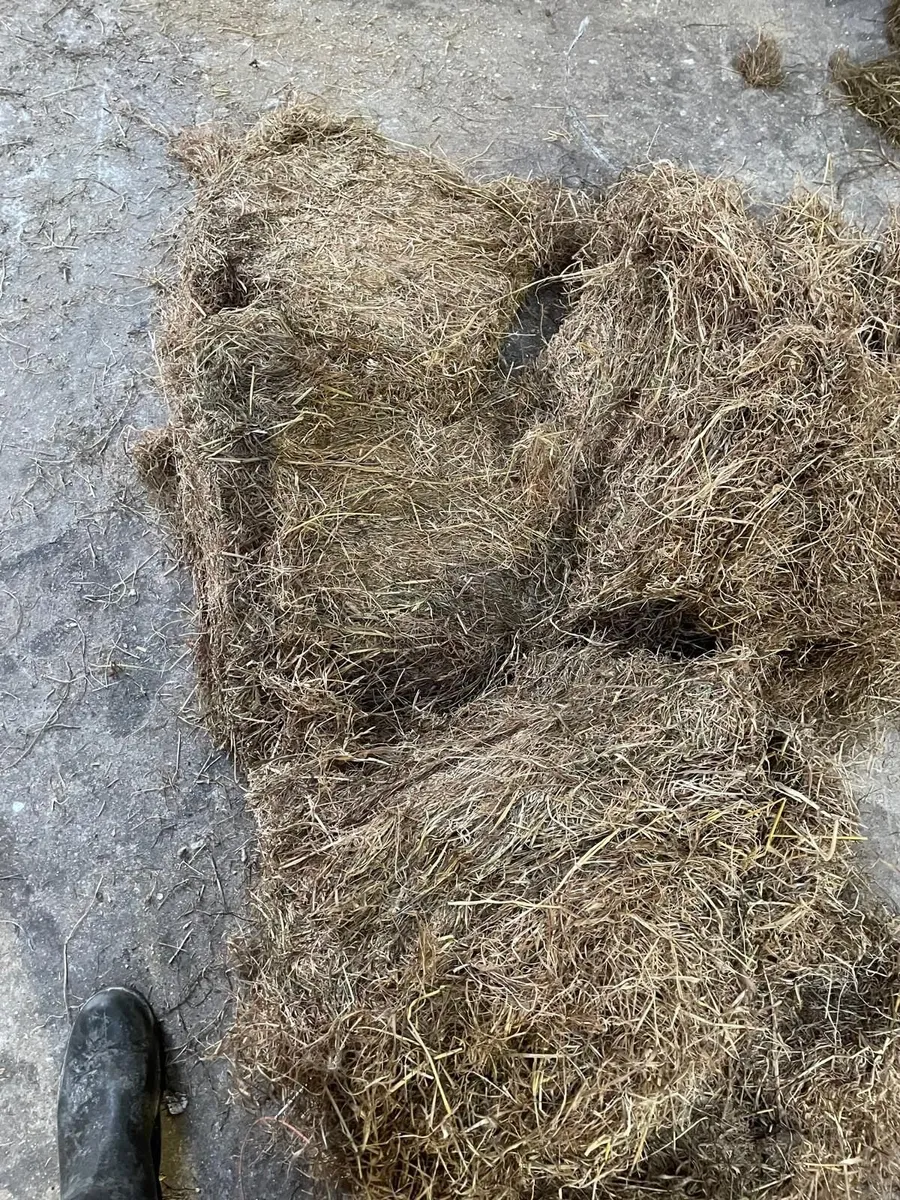 Square Hay Bales - Image 2