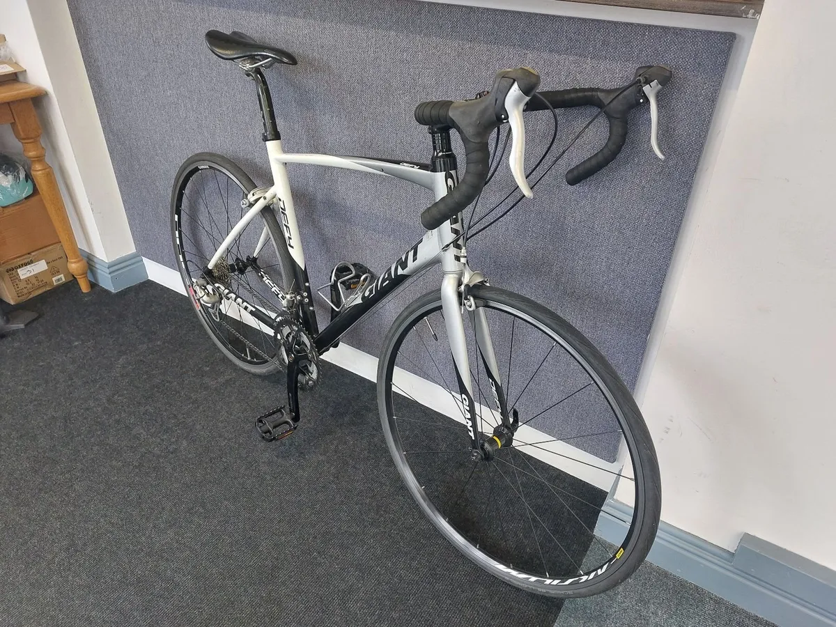 Giant Defy - Image 1