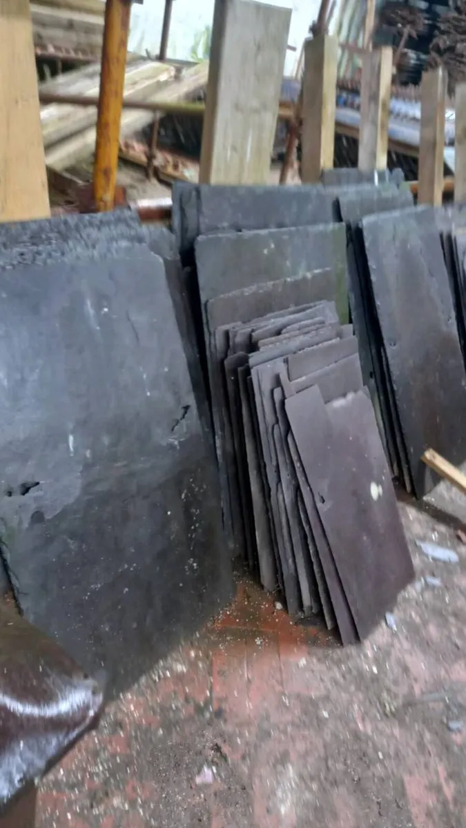 Blue Bangor/Bangor Blue Slates - Image 4