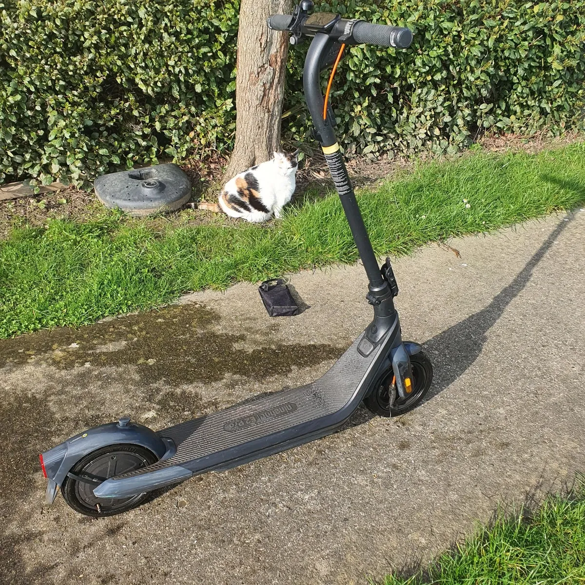 Electric scooter - Image 3