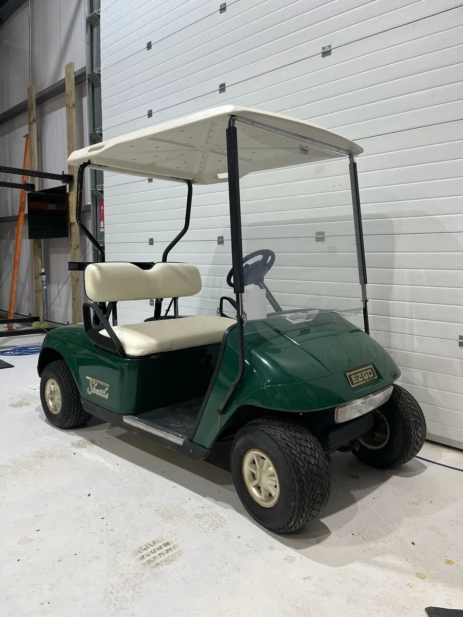 Electric golf buggy - Image 3