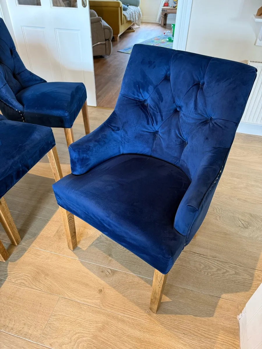 6 Navy Blue Velvet Dining Chairs – Solid Oak Legs - Image 1