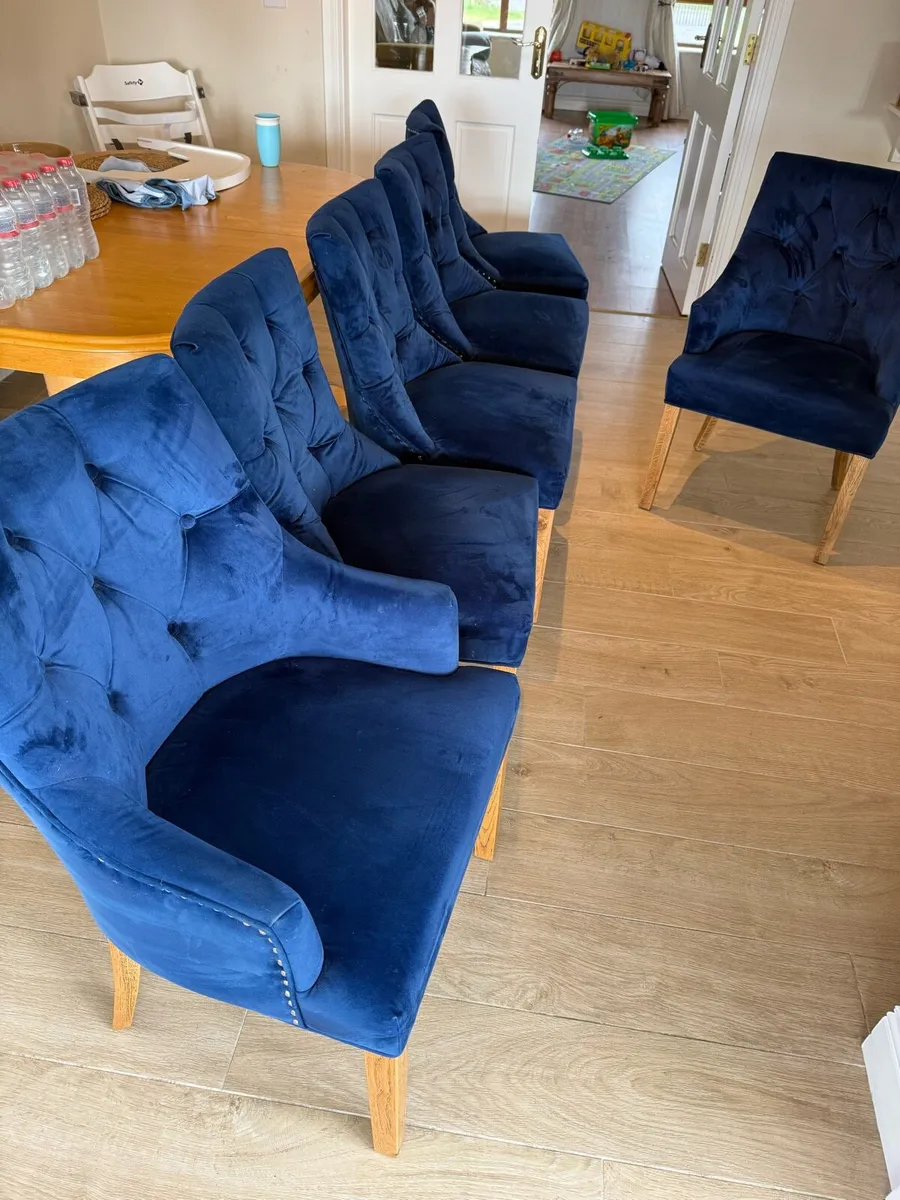 6 Navy Blue Velvet Dining Chairs – Solid Oak Legs - Image 2
