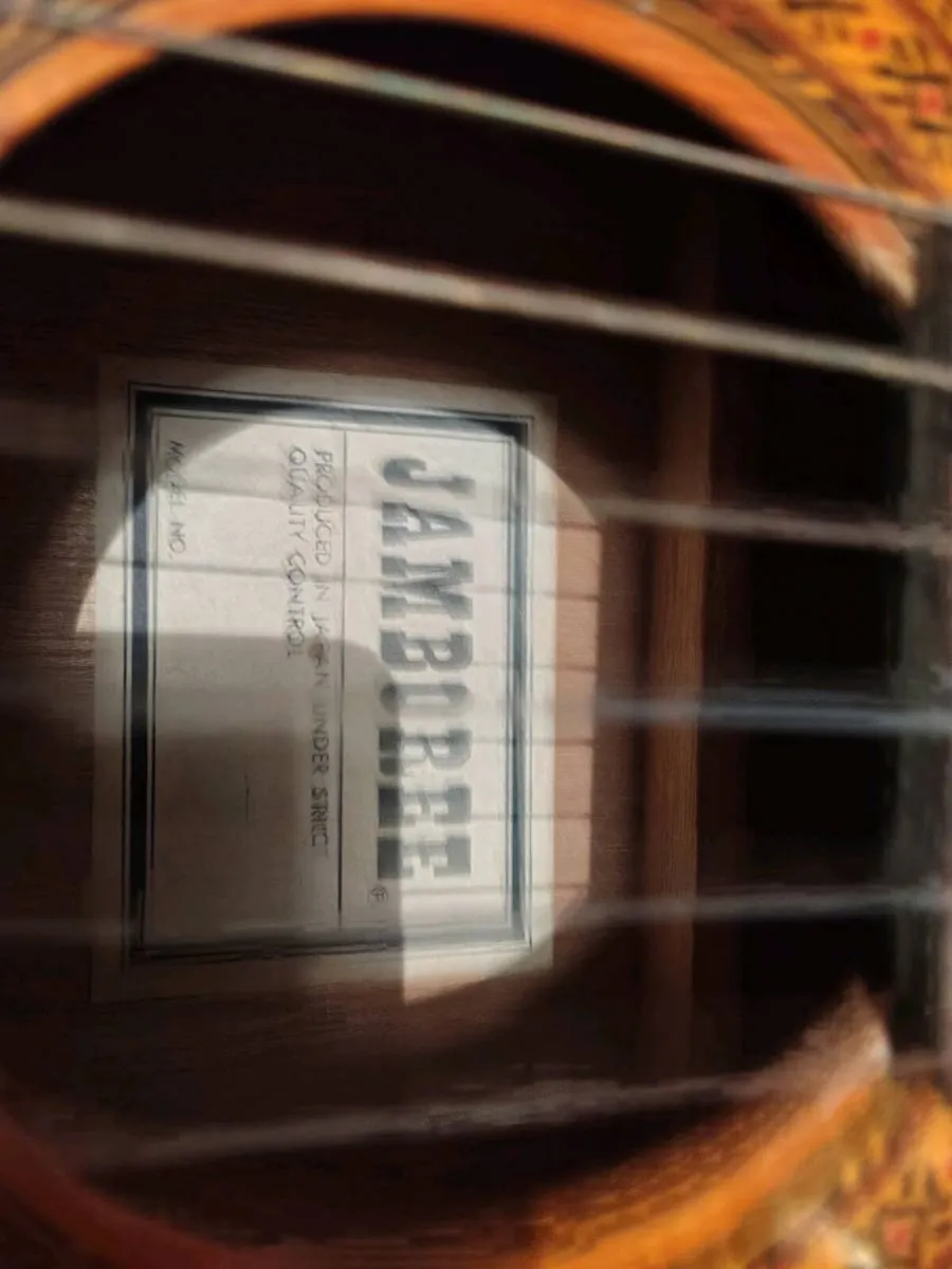 Guitar - Image 4