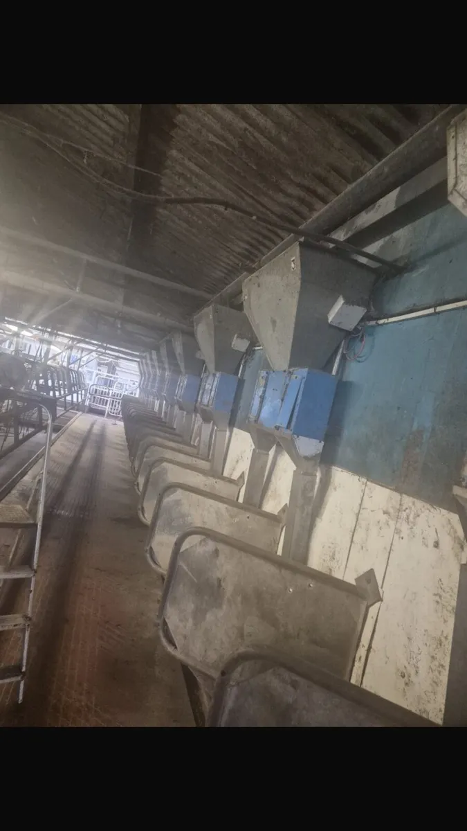 Cashman air feeders - Image 3