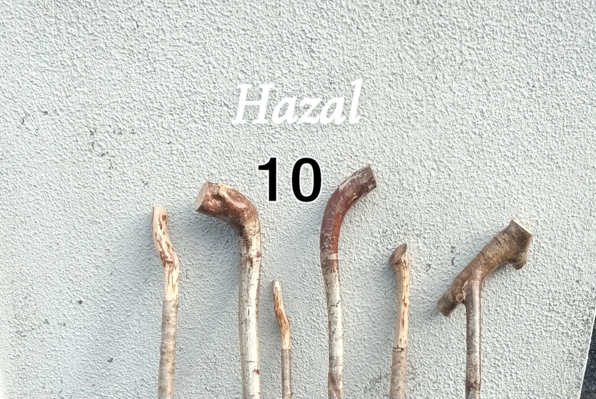 Walking sticks - Image 1