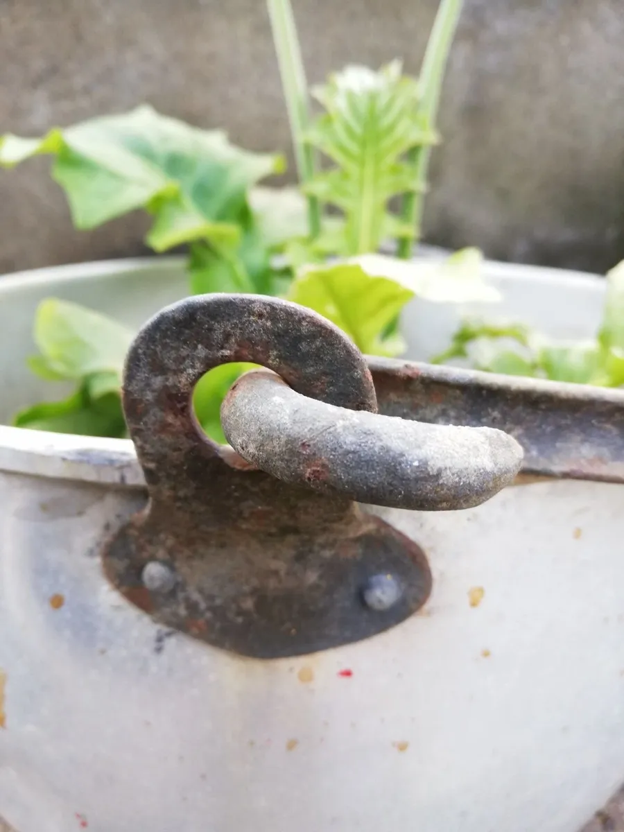 Vintage Planter Pot, Garden Throw, Outdoor Plant H - Image 2