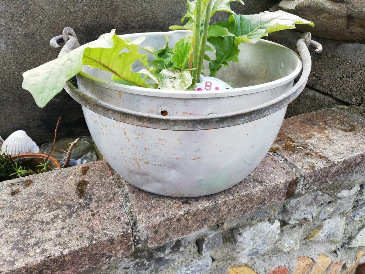 Vintage Planter Pot, Garden Throw, Outdoor Plant H - Image 4