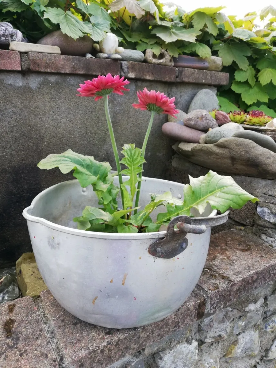 Vintage Planter Pot, Garden Throw, Outdoor Plant H - Image 1