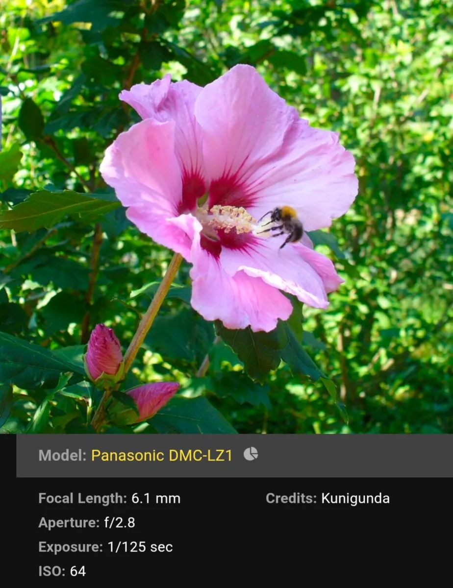 Panasonic Lumix LZ1 4MP CCD🌈 compact camera - Image 3