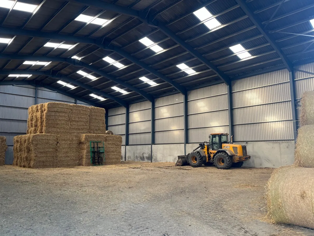 Hay Straw Beet - Image 1