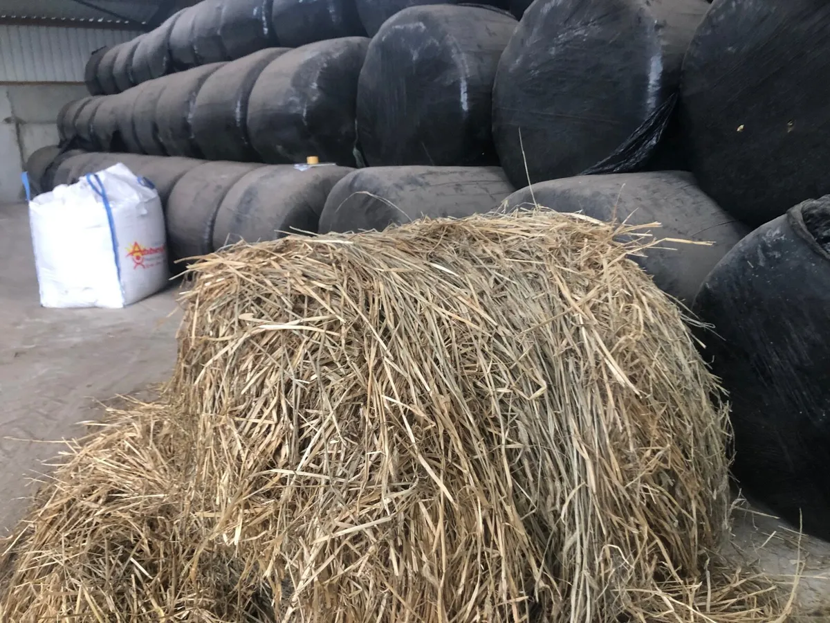 Cattle Feed - Image 1