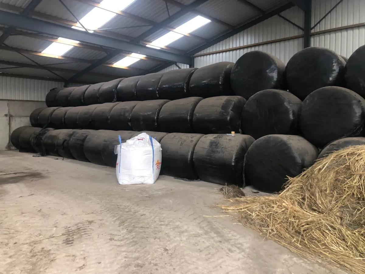 Cattle Feed - Image 2