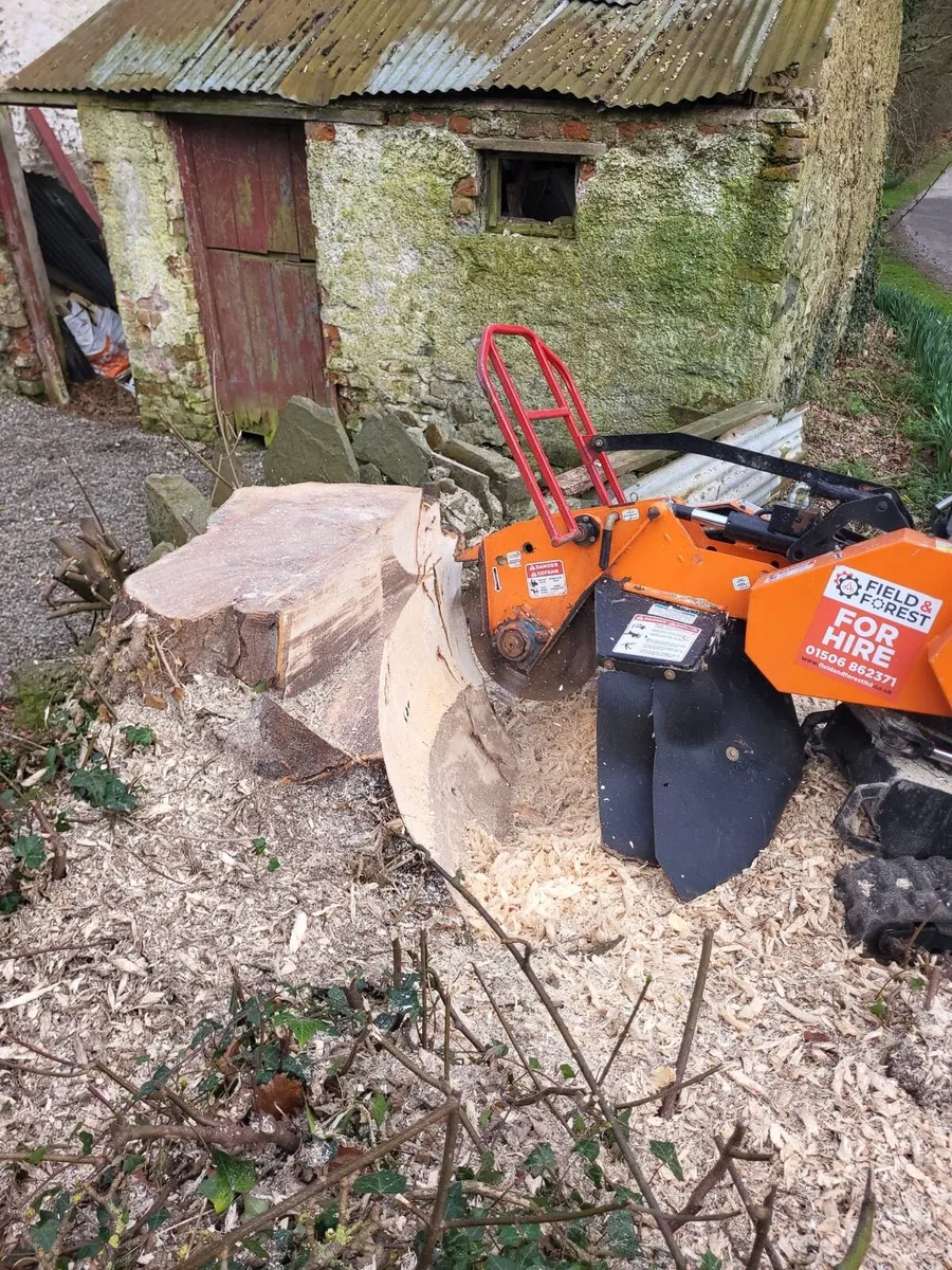 Stump grinding - Image 1