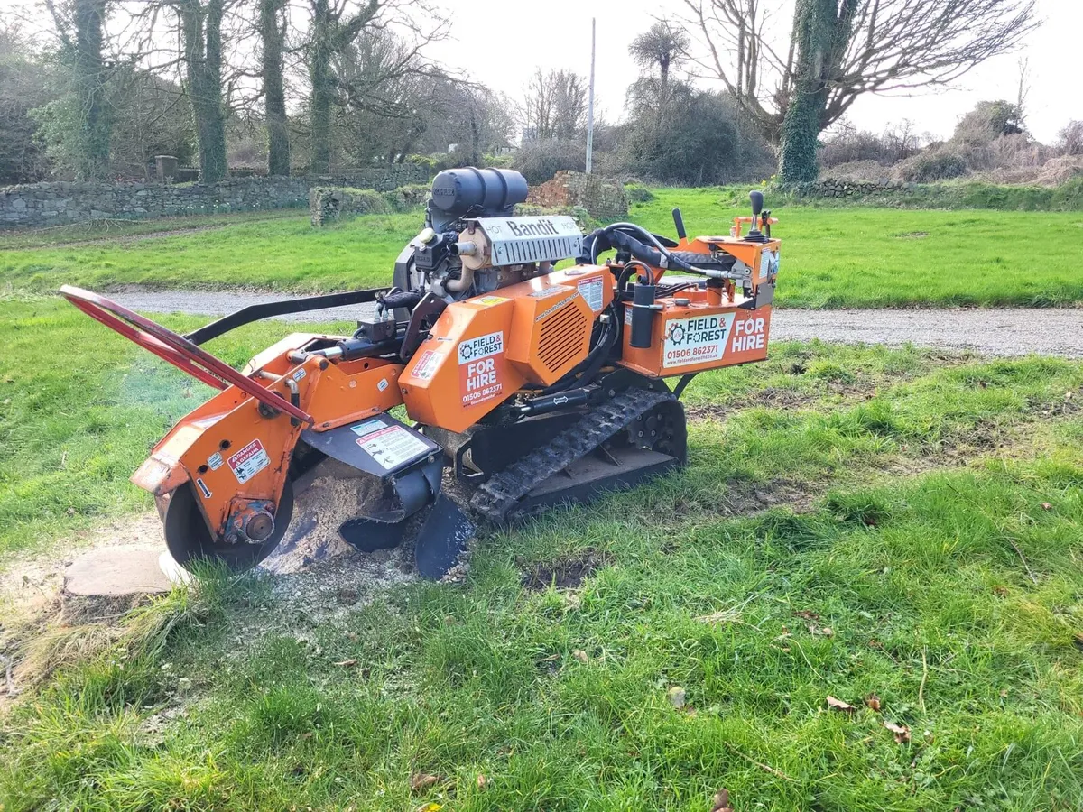 Stump grinding - Image 2