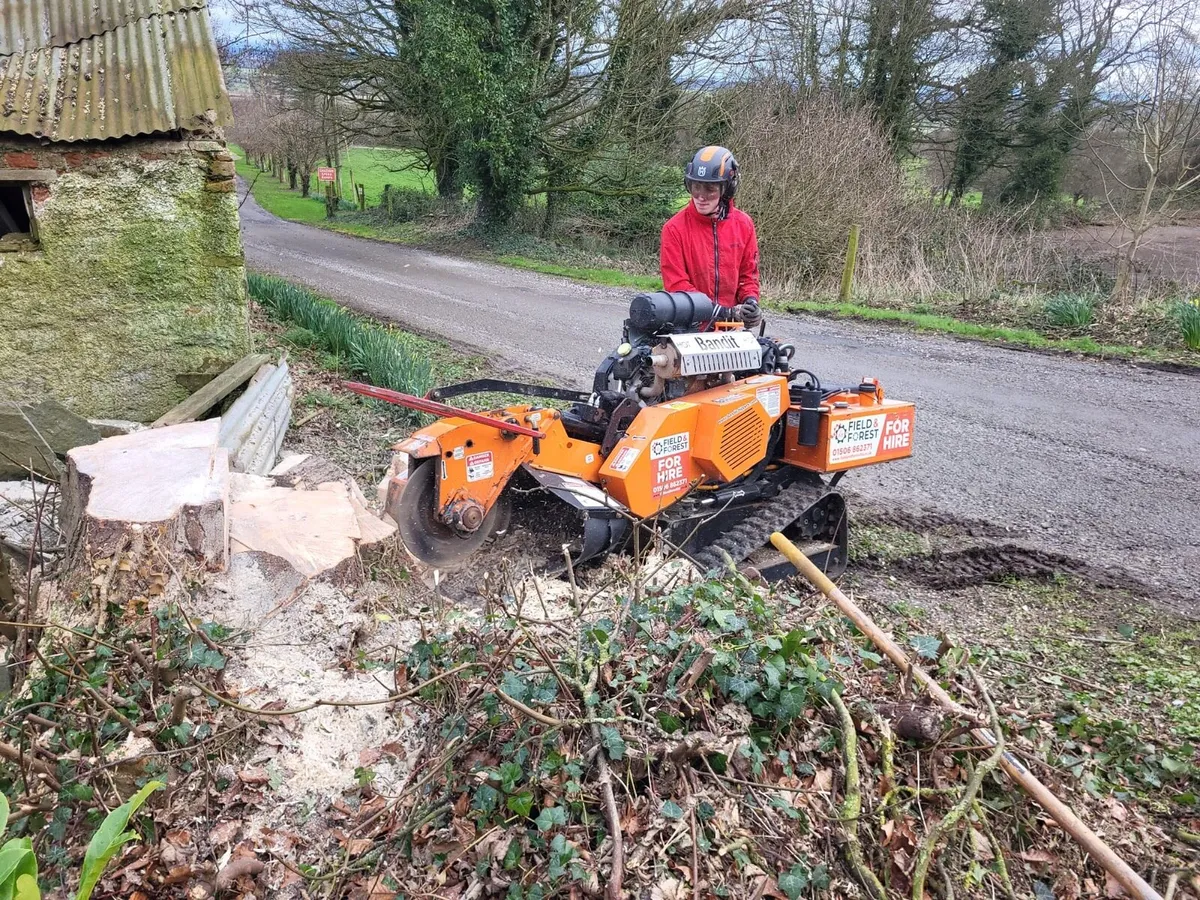 Stump grinding - Image 3