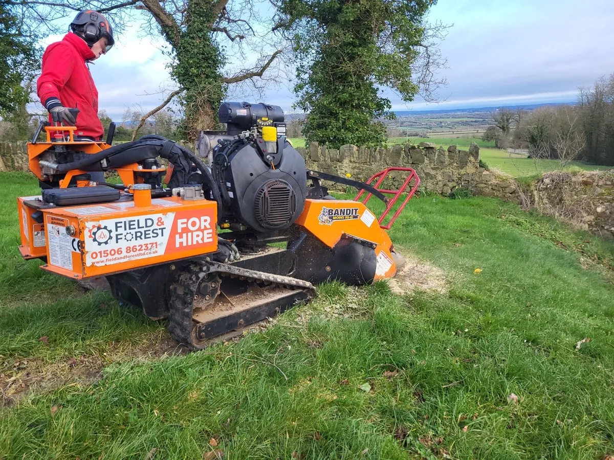 Stump grinding - Image 4