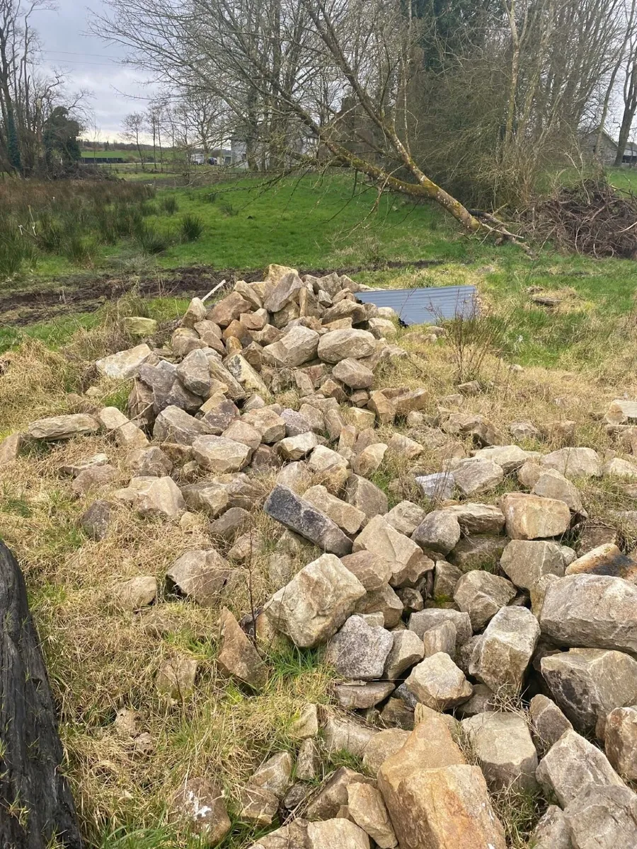 Original house stone (Drumkieran sandstone) - Image 2