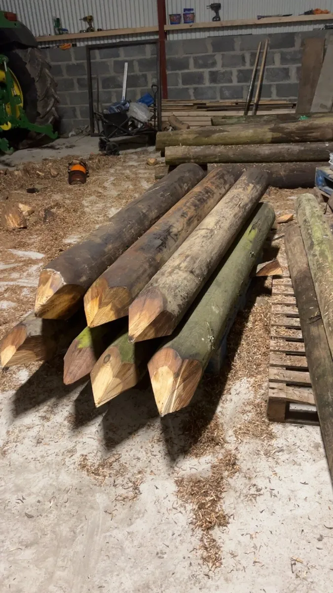 Fencing posts - Image 3