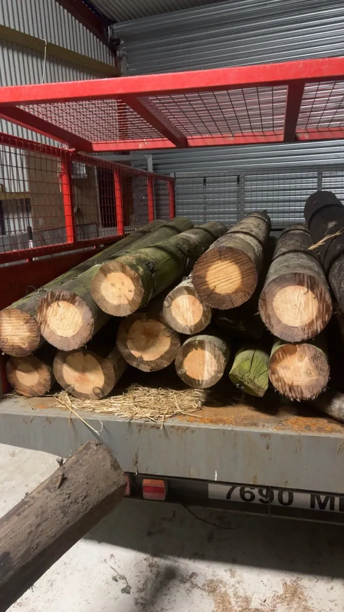 Fencing posts - Image 4