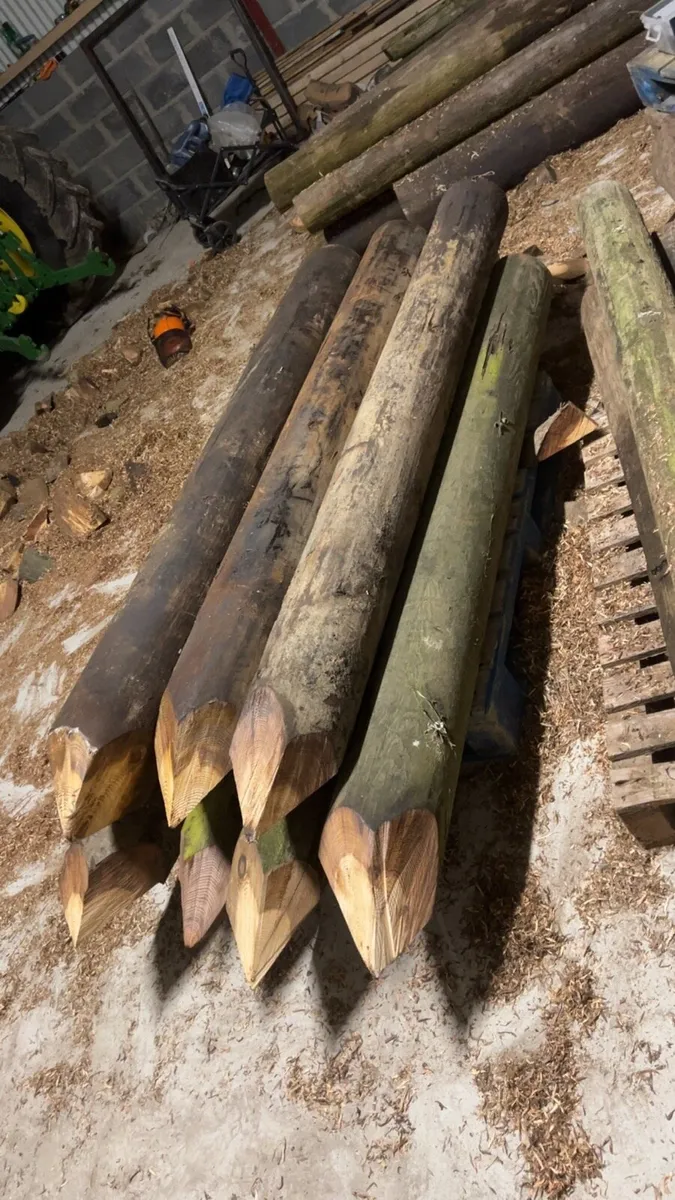 Fencing posts - Image 1