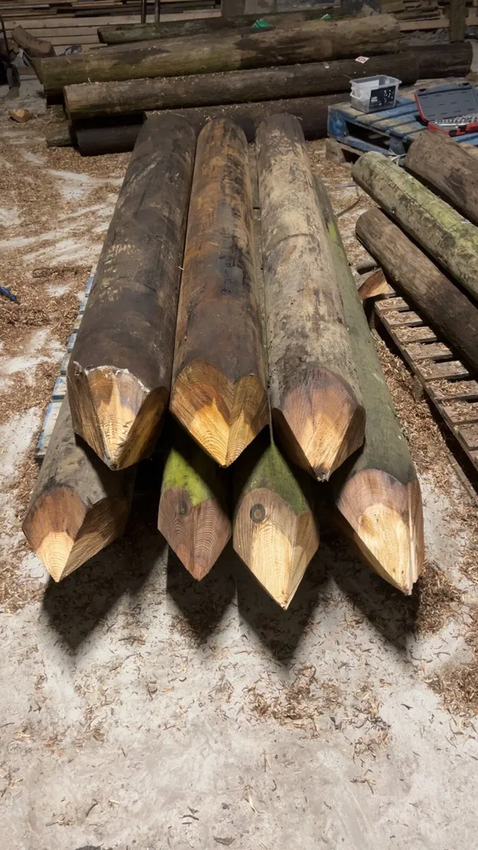 Fencing posts - Image 2