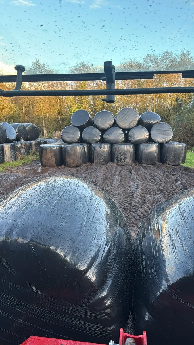 Round bales of silage for sale