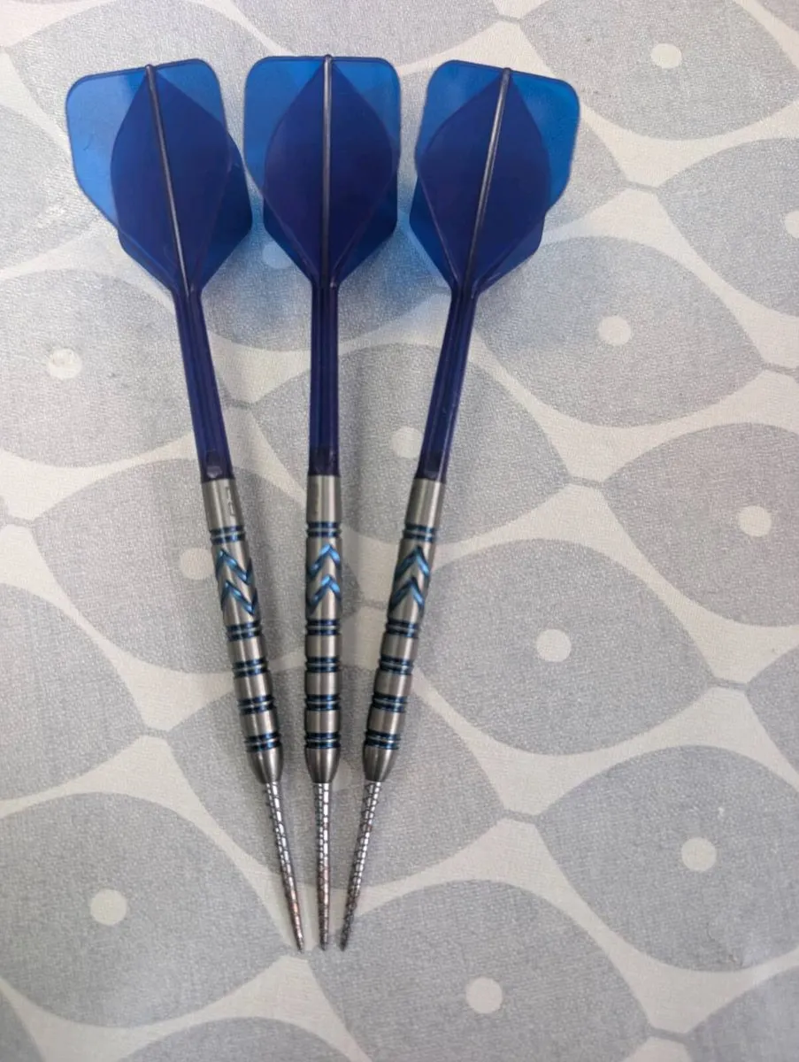 Gerwyn Price darts 24g
