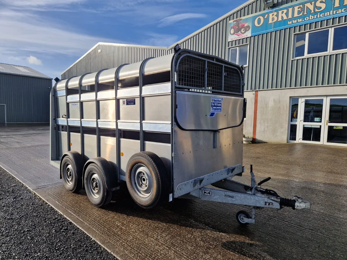 12ft x 6ft Ifor Williams Trailer - Image 2