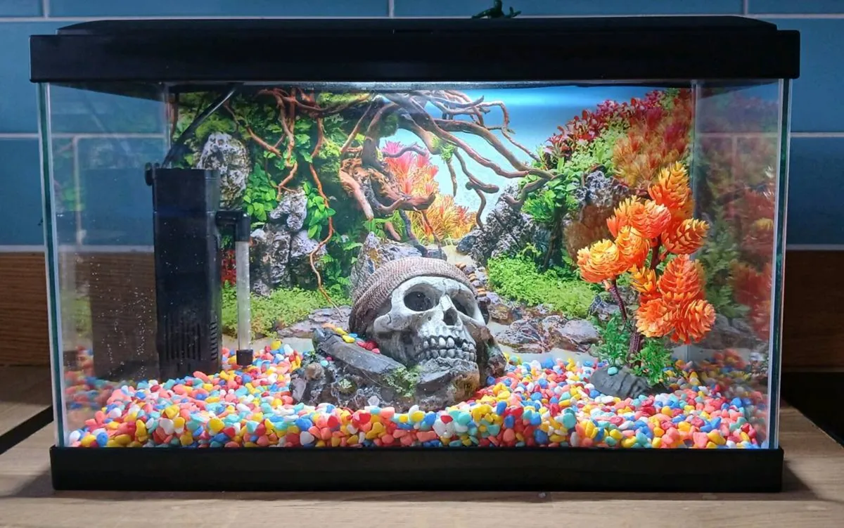 Aquarium 17-litre LED light Black - Image 1